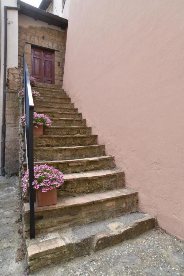 La Corte Del Castello Di San Michele San Michele in Teverina 외부 사진
